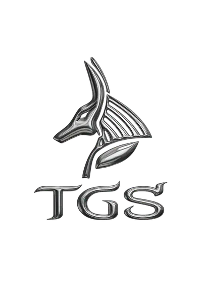 Logo The Good Shisha TGS cromado